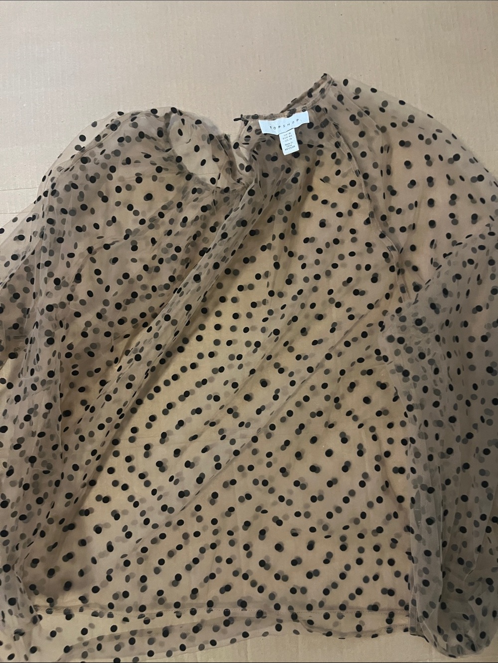 Topshop Black Polka Dot Sheer Beige Blouse